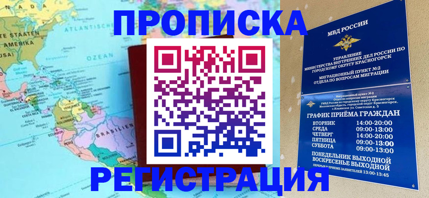 прописка для работы в Димитровграде
